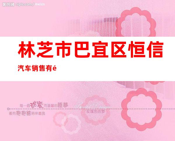 林芝市巴宜区恒信汽车销售有限公司